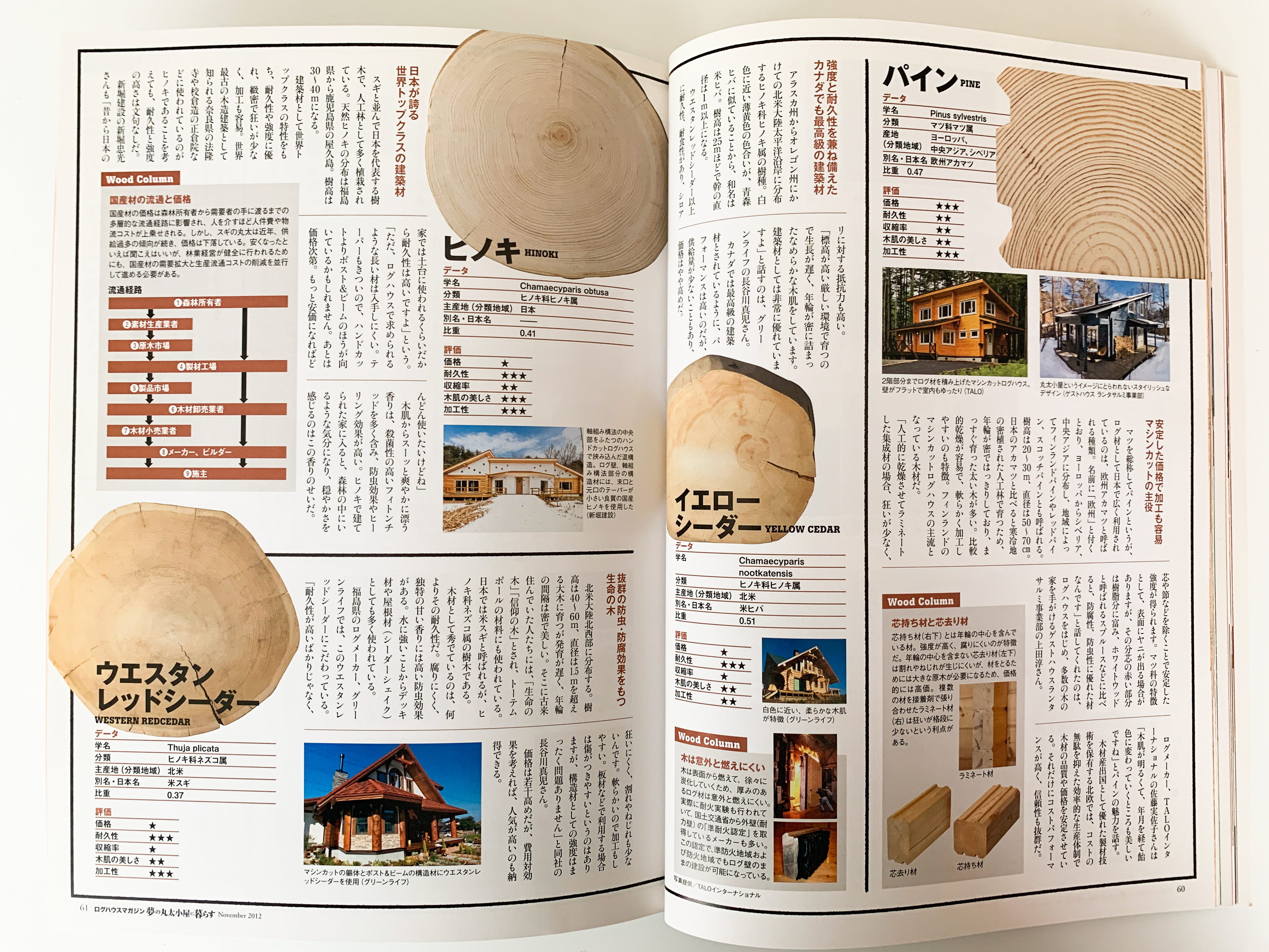 『夢の丸太小屋に暮らす LOG HOUSE MAGAZINE』 2012.12 地球丸刊