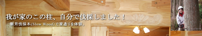 我が家のこの柱、自分で伐採しました！