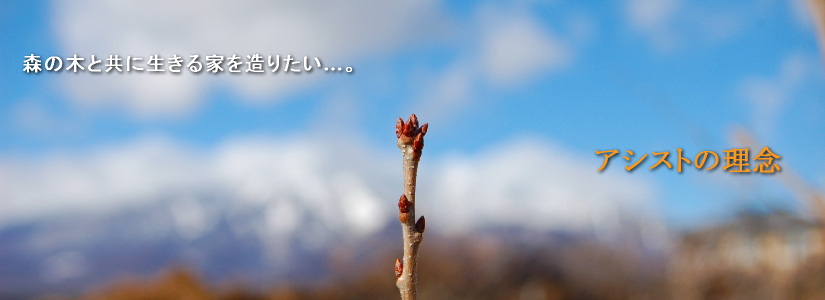 アシストの理念 森の木と共に生きる家をつくりたい…。