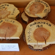 アシストにて実験中の山梨県北杜市大泉町産の木。新月と満月で軽さが違うことが持っただけで分かります。