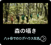 森の囁き　八ヶ岳でのログハウス生活